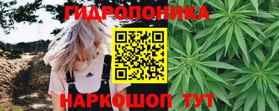 дурь Кандалакша