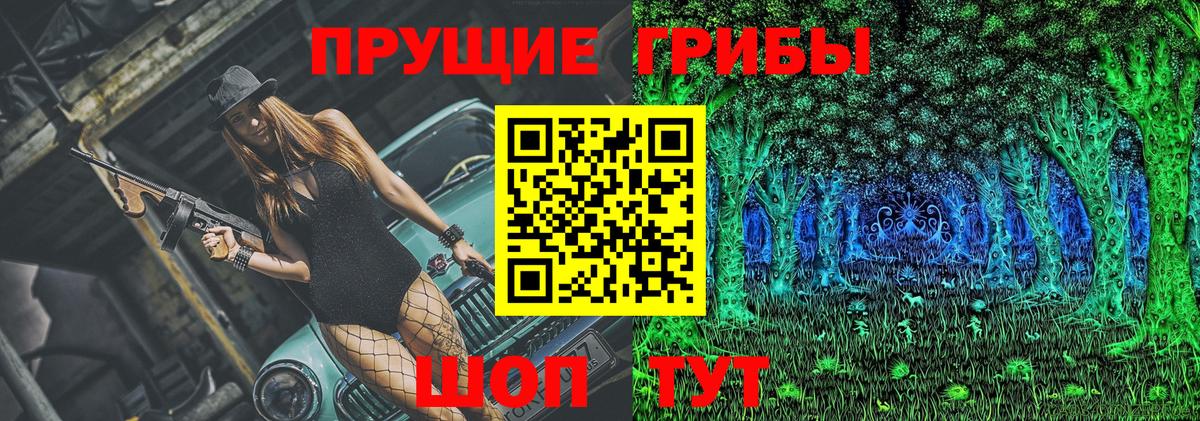 где можно купить наркотик  Вход с VPN  Краснодар  Галлюциногенные грибы MAGIC MUSHROOMS 